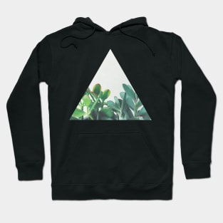 Crassula Group Hoodie